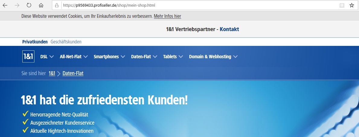 1und1 Profiseller