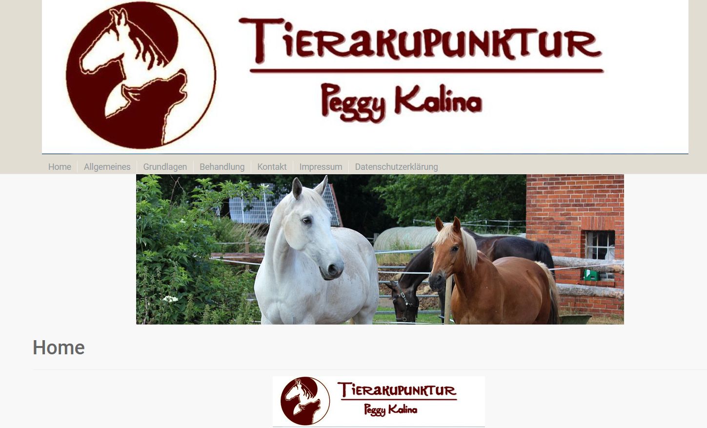 tierakupunktur ol